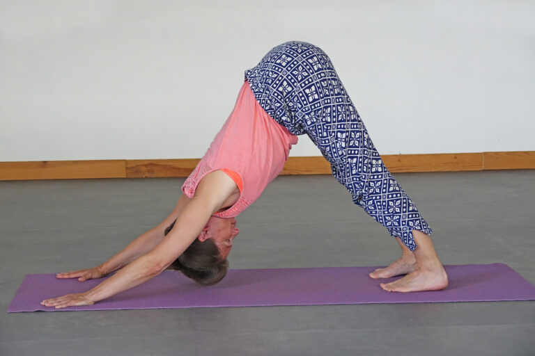 ADHO MUKHA SVANASANA_CHIEN TETE EN BAS